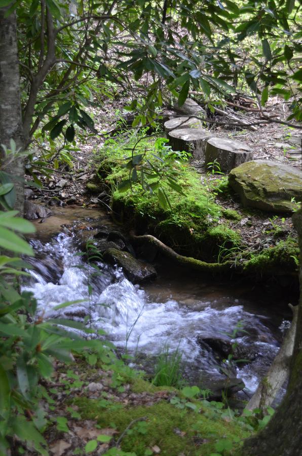 Panther Creek Cabins Cherokee Extérieur photo